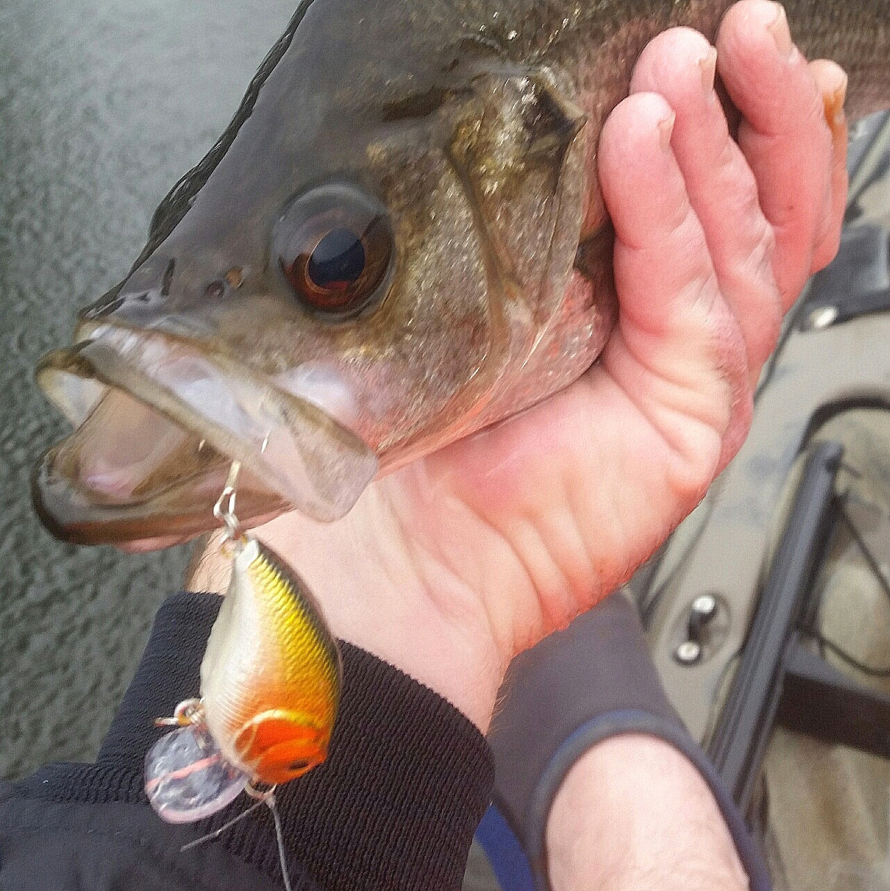 Yellow and orange fishing lure in open hand, clear lip and treble hook