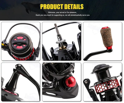 SeaKnight Brand MORPH2000 Spinning Reel 5.2:1 8KG Drag Power Fishing Reel C60 Carbon Fiber Spinning Wheel for Carp Fishing 2000 - - Cast N Go