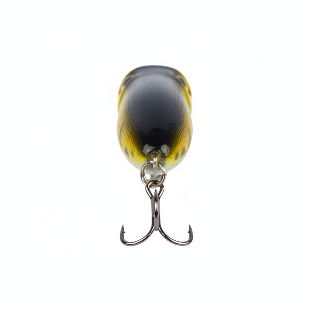 Surface popper fishing lure, black and gold body with two treble hooks