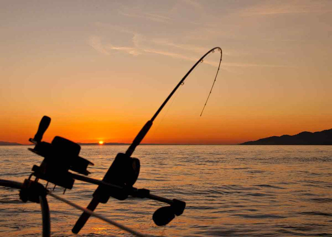 Top 10 Must-Have Fishing Tackle for Beginners