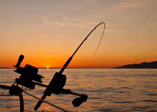 Top 10 Must-Have Fishing Tackle for Beginners