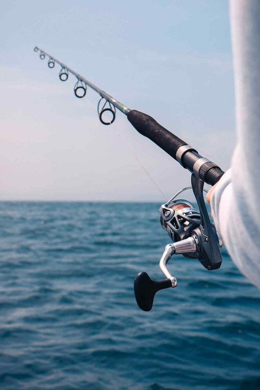 Fishing Tackle Essentials for Every Angler's Toolkit