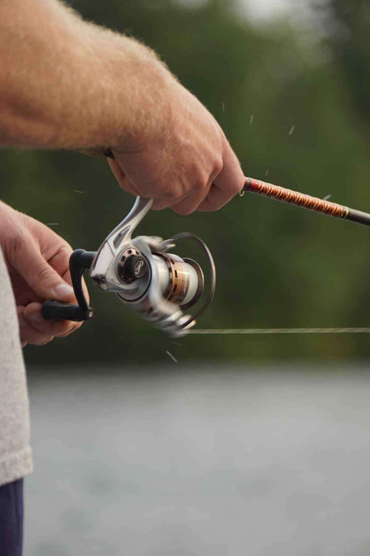 Beginner's Guide to Fishing Lures & Baits: Types, Uses & Tips