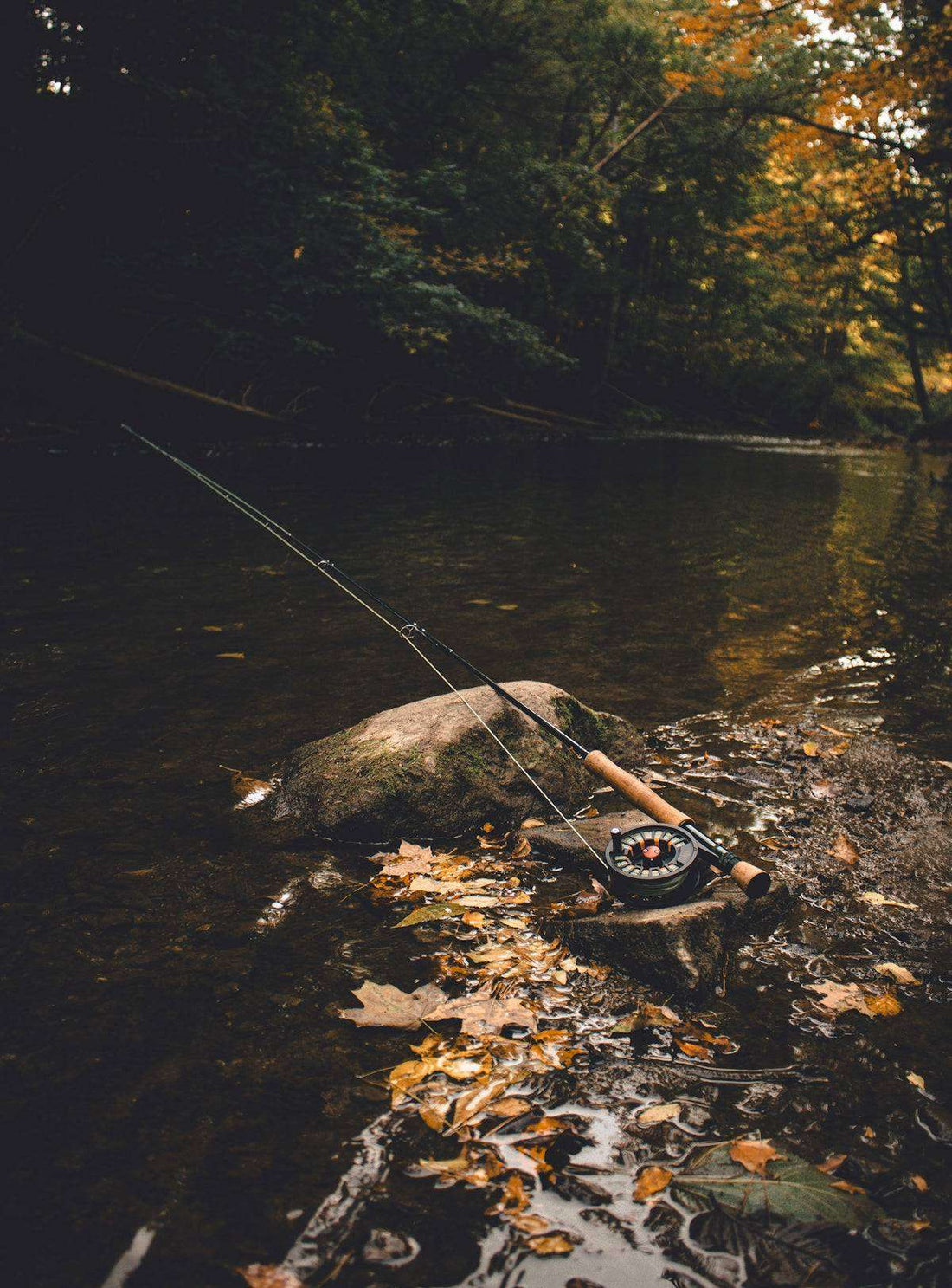 Comparing Spinning and Baitcasting Reels Which Suit Your Needs