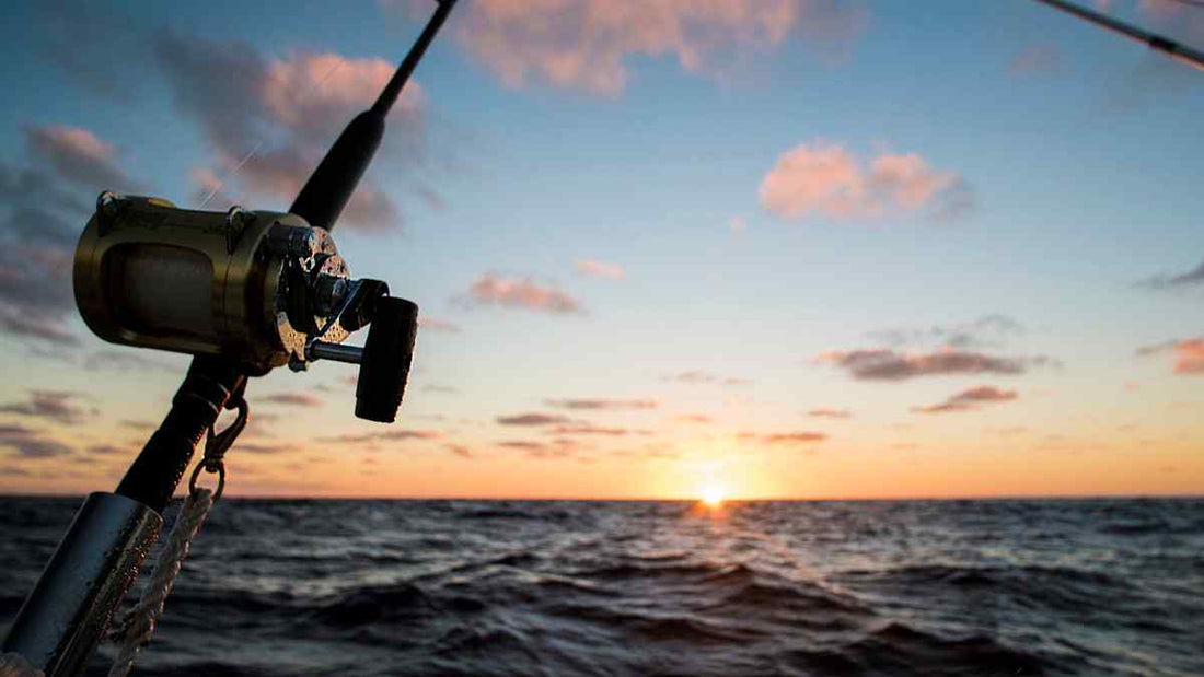 How Responsible Fishing Tackle Supports Wildlife Conservation