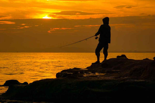 Selecting the Perfect Fishing Rod to Match Your Catch