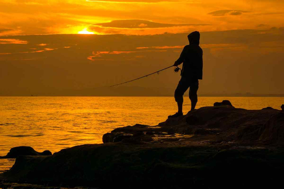 How to choose the right fishing rod – buyer's guide for lure and light game anglers