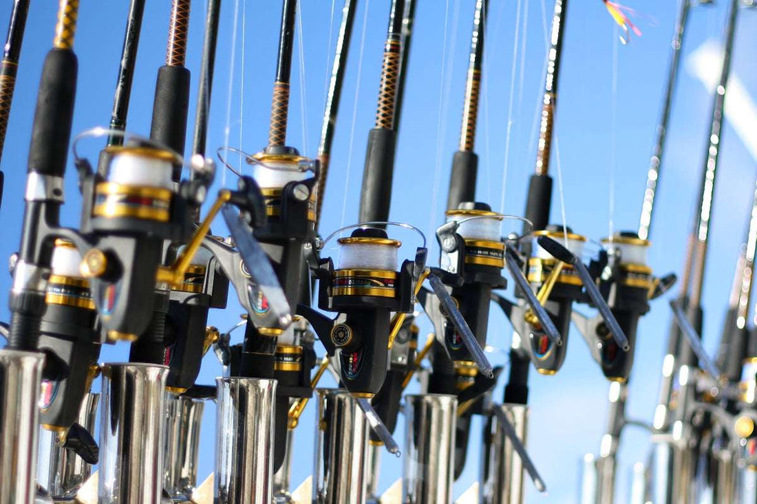 Fishing Reel History: From Early Designs to Modern Angling