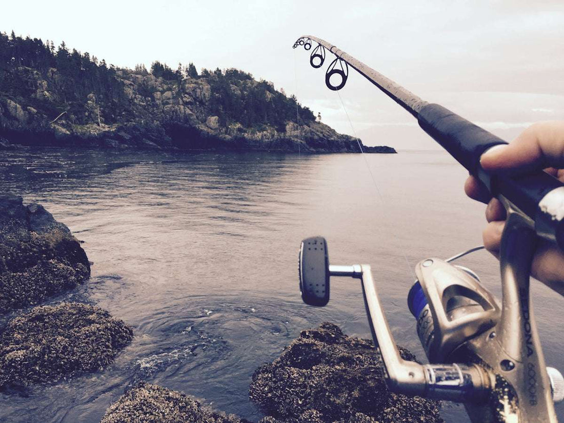 The Ultimate Guide to Float Tackle for Australian Anglers