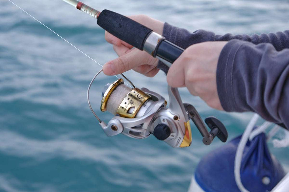 Monofilament vs Braided Fishing Line: Which Should You Choose?