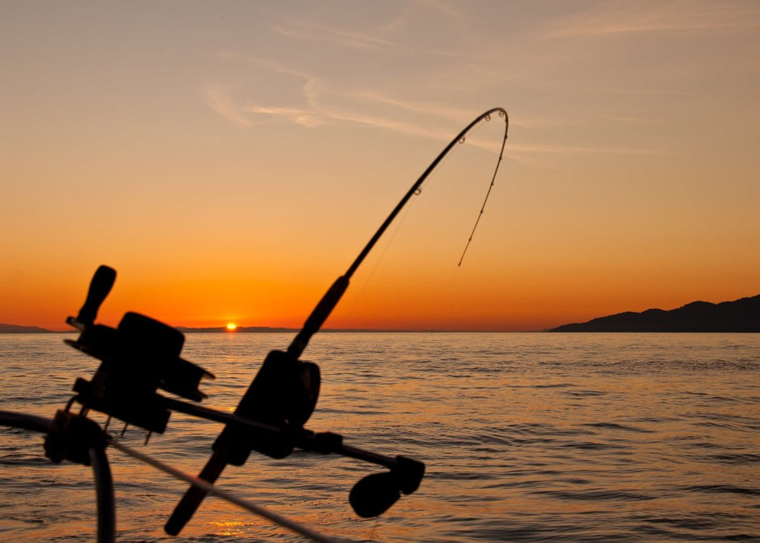 Top 10 Must-Have Fishing Tackle for Beginners - Cast N Go
