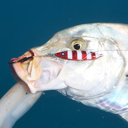 Hooked fish with red striped lure body and black treble hooks
