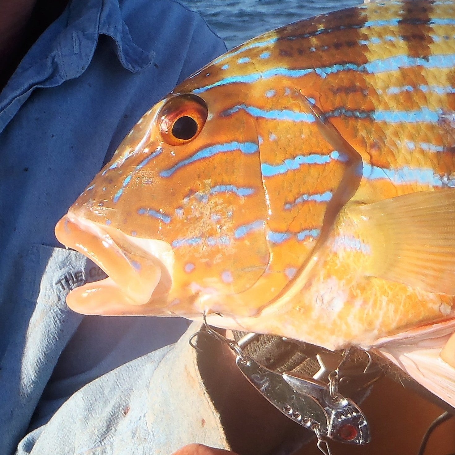 Orange fish-shaped fishing lure with blue stripes, feather tail, open treble hook
