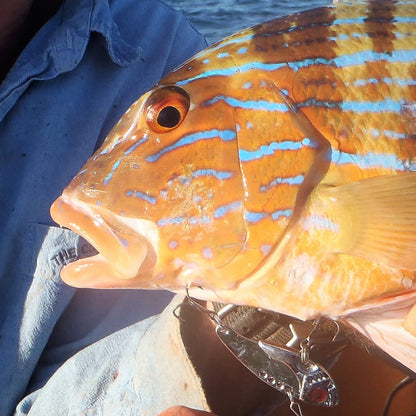 Orange fish-shaped fishing lure with blue stripes, feather tail, open treble hook