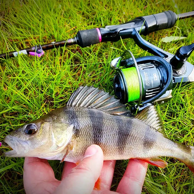 Spinning reel on rod with green line and silver spool