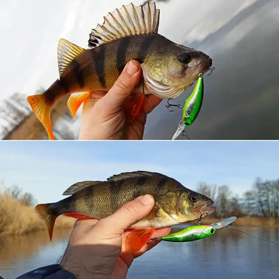 Green and white suspending minnow lure with treble hooks, held near a caught fish