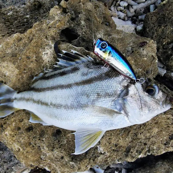 Tsurinoya CATCHER 40F topwater popper lure, blue and silver pattern with treble hooks