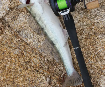 Tsurinoya bladed jig with light-colored silicone skirt and wire blade on rod