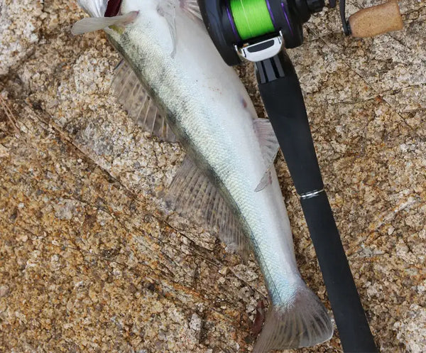 Tsurinoya bladed jig with light-colored silicone skirt and wire blade on rod
