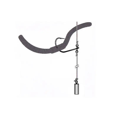 Drop shot fishing rig hook with coiled spring, eyelet, and small sinker weight
