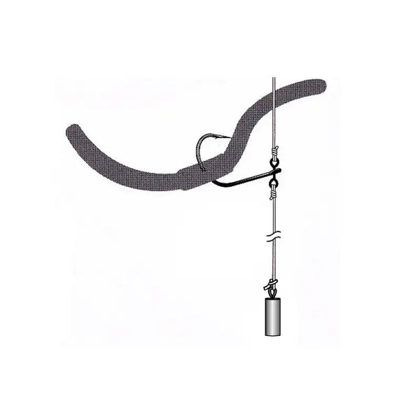 Drop shot fishing rig hook with coiled spring, eyelet, and small sinker weight