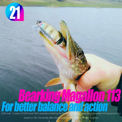 Jointed swimbait lure with two treble hooks shown in a caught fish