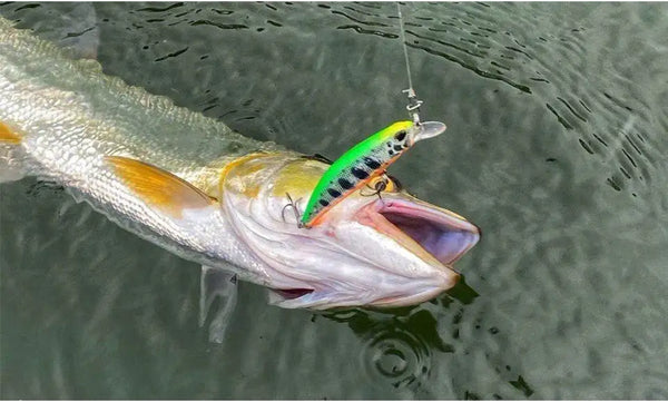 Underwater fish with a green-yellow minnow crankbait in mouth, lure hooks visible