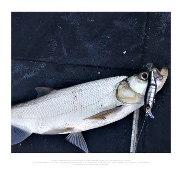 Hard minnow swimbait lure with treble hooks, metallic silver body and dark eye stripe