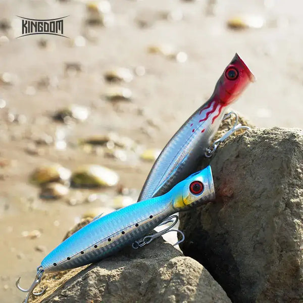 Blue and silver floating popper fishing lure with treble hooks on rocks.