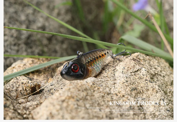 Dark olive sinking crankbait lure with red eye and treble hooks on a rock.