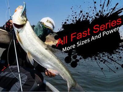 Kingdom Silver Needle II Fast-Action Fishing Rod | 2-Piece