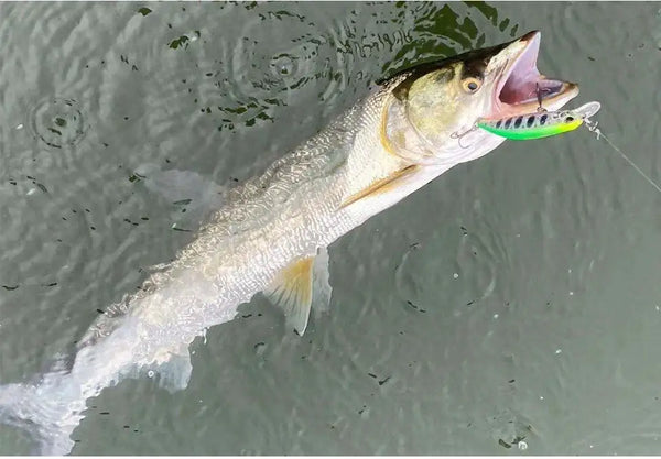 Fish in water with a small green minnow crankbait in mouth, treble hooks showing