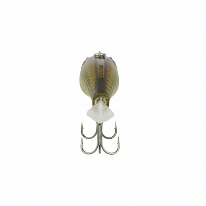 Fishing hard body lure, rear view, olive-gold body with three treble hooks