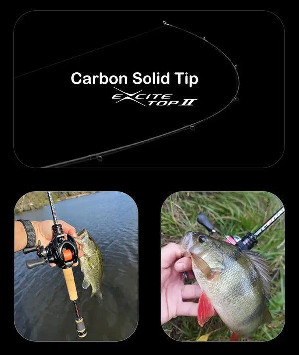 Carbon solid tip fishing rod with slim black tip section and guides