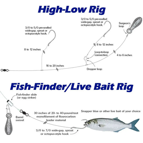 Fishing rig illustration for live bait, includes multiple hooks and swivels
