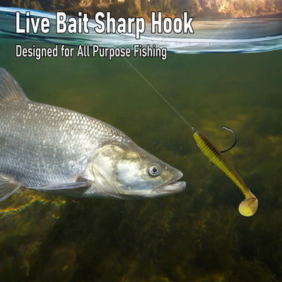 Inline circle hook on fishing line next to live bait fish, curved shank