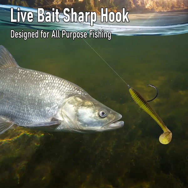 Inline circle hook on fishing line next to live bait fish, curved shank