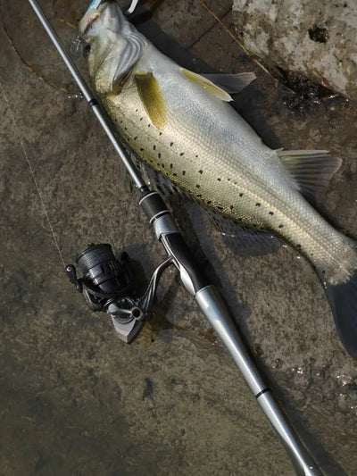 Kingdom Silver Needle II Fast-Action Fishing Rod | 2-Piece