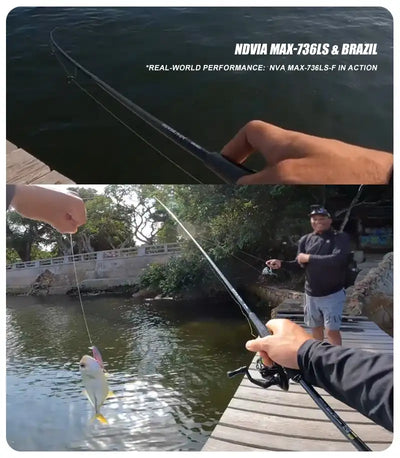 Purelure NDVIA MAX Ajing & Eging Rod – Tubular Tip | Spinning & Casting | 6'0" to 8'6"
