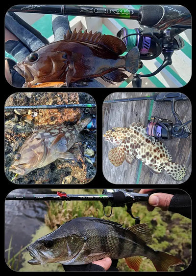 Purelure Zero Ultralight Lure Rod – Toray T1100G | Fuji Alconite | Spinning & Baitcast | UL & L