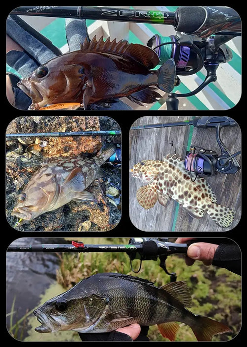 Spinning lure rod with reel during fishing, shown with multiple caught fish