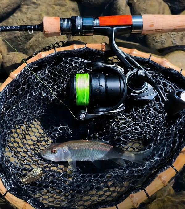 Ultralight spinning reel with black housing and bright green spool on landing net