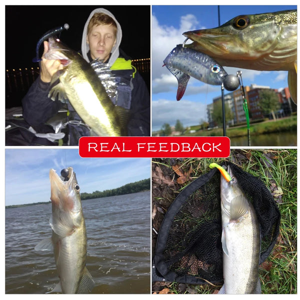 Round ball jig heads with stainless steel hooks, assorted fishing sizes