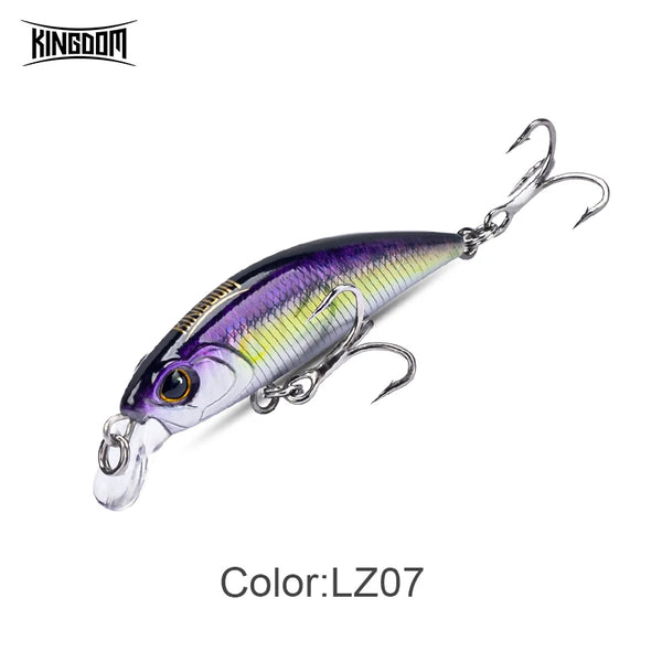 Purple and silver sinking minnow lure with treble hooks, close side view