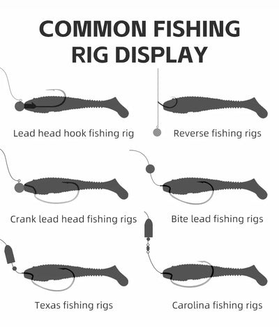 Fishing lure rig display showing lead head, reverse, crank, Texas, Carolina rig shapes