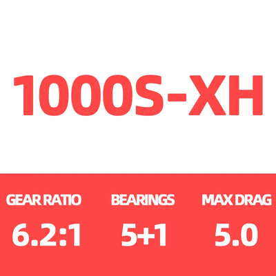 DAIWA Exceller LT 1000S-XIH spinning reel: 6.2:1 ratio, 5+1 bearings, 5kg max drag.