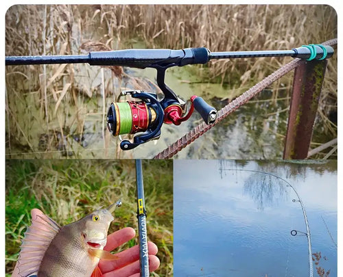 Spinning fishing rod with blue grip and silver baitcasting reel, line guides visible.