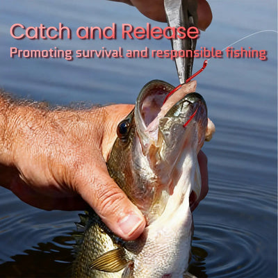 Red circle fishing hook in a caught fish’s mouth, held by a hand