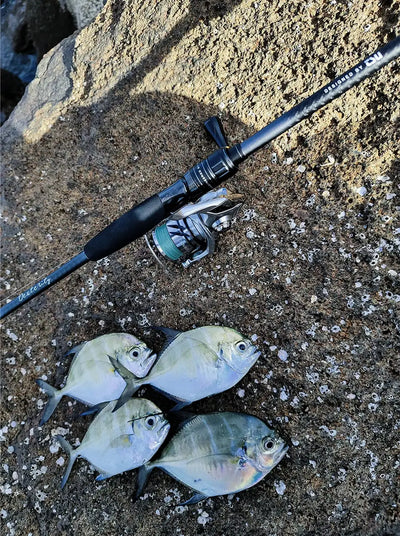 Spinning rod with spinning reel and fish catch