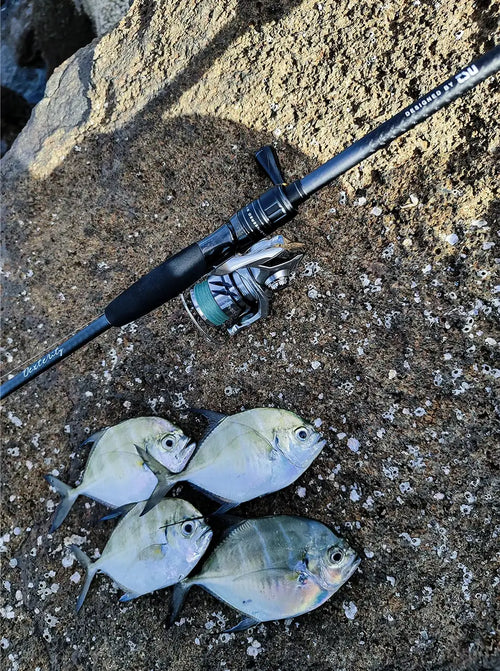 Spinning rod with spinning reel and fish catch